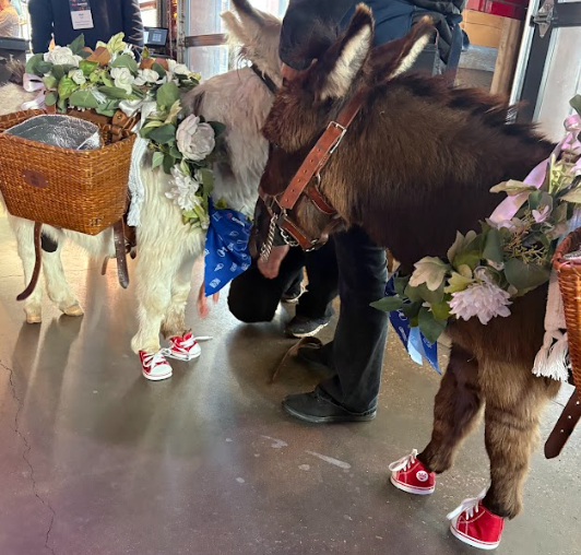 Screenshot 2026-03-23 at 3.57.26 PM