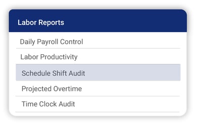 labor scheduling_reports