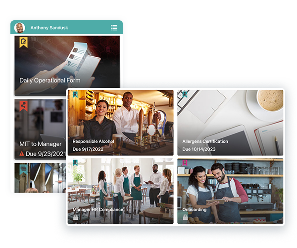 talentlink-learning-mgmt-system